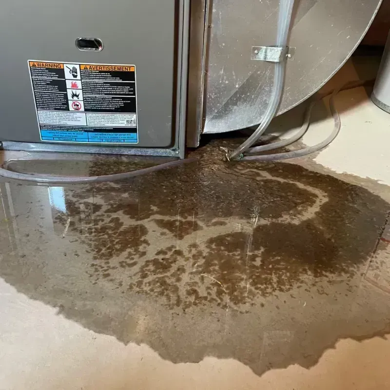 Appliance Leak Cleanup in Waynesville, MO